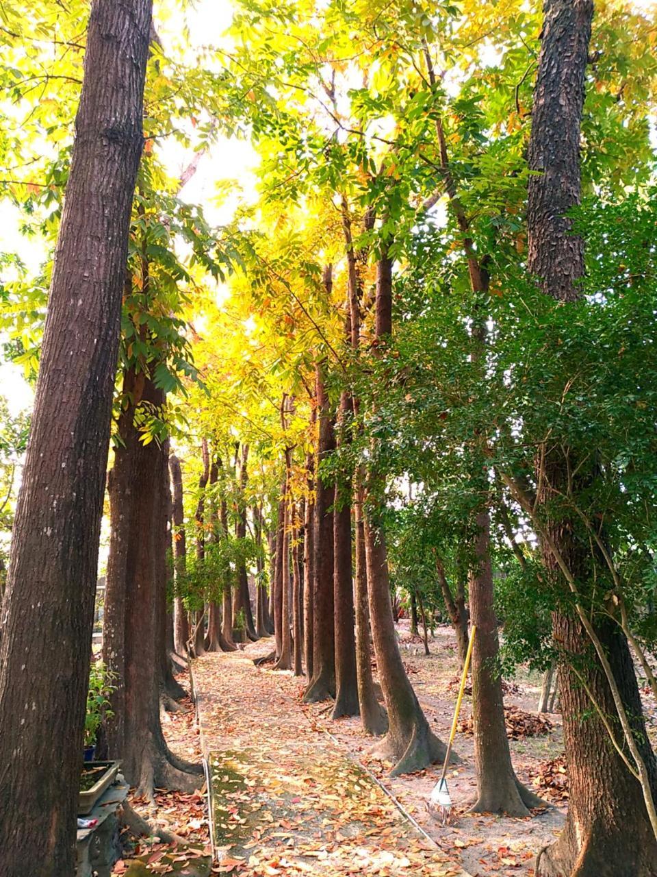 Meinong Yun Shanju Homestay Mei-nung Екстериор снимка